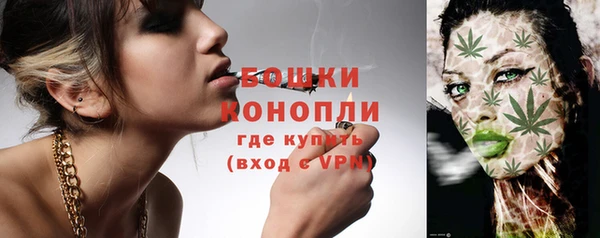 прущие крисы Пестово