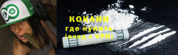 a pvp Пересвет