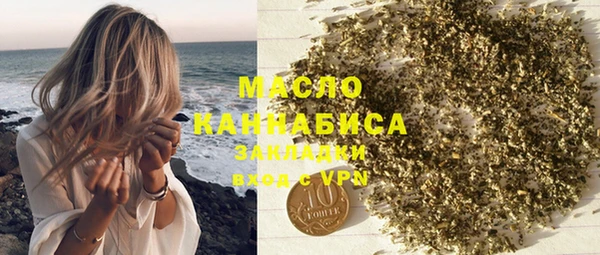 хмурый Гатчина