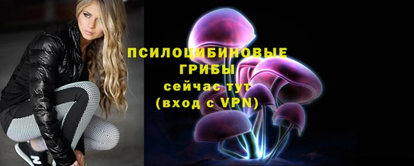 a pvp Пересвет