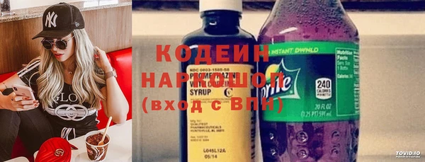 a pvp Пересвет