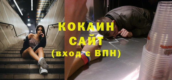 a pvp Пересвет
